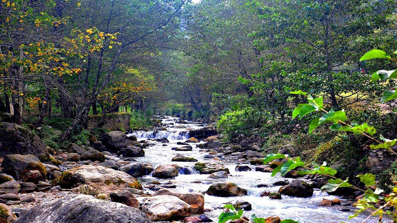 جواهرده؛ جایی که مه با کوه‌ها نجوا می‌کند