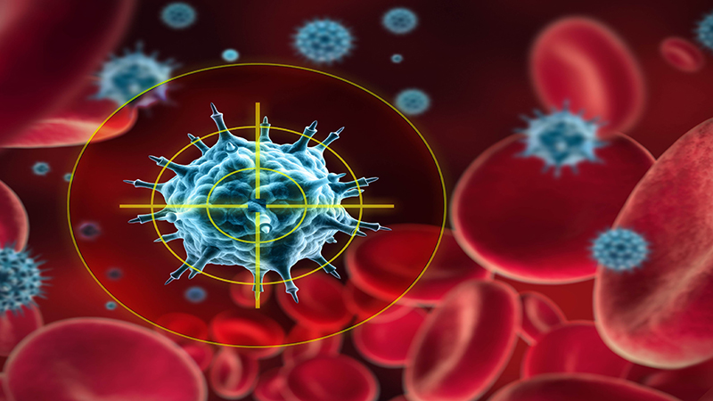 تصویری از فرآیند فعال‌سازی سیستم ایمنی بدن با داروی هوشمند در پژوهش دانشگاه کمبریج