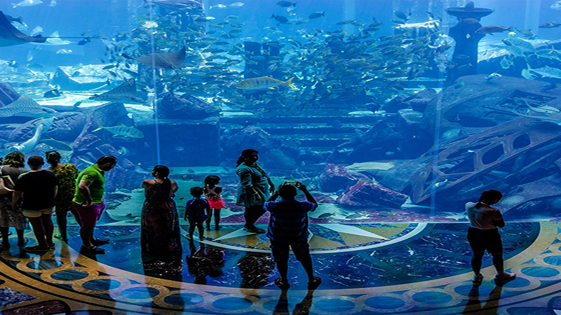 نمایی از تونل شیشه‌ای دبی آکواریوم با کوسه‌ها و ماهی‌های رنگارنگ