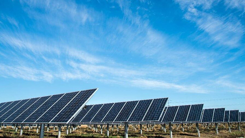 نمایی از پنل‌های خورشیدی در بوشهر با آسمان آفتابی و ظرفیت تولید برق پاک