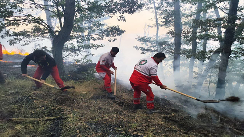 تصویر مهار آتش‌سوزی جنگل الیت چالوس با حضور تیم‌های امدادی