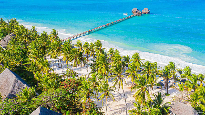 تصویری از طبیعت تانزانیا شامل کوه کلیمانجارو، سافاری سرنگتی و سواحل زنگبار