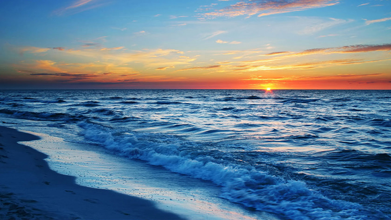 تصویری از دریای خزر با قایق‌های ماهیگیری و منابع غذایی دریایی