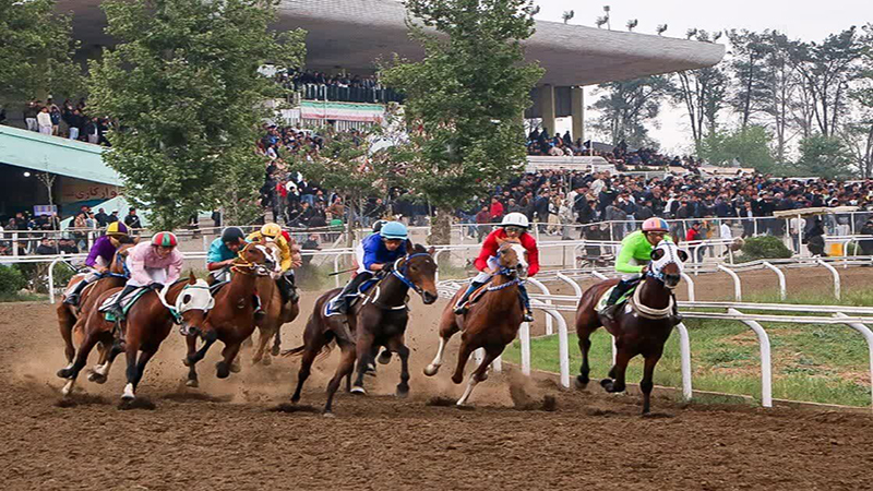 تصویری از مجموعه اسبدوانی گنبدکاووس در حال آماده‌سازی برای کورس پاییزه با حضور چابکسواران ترکمن