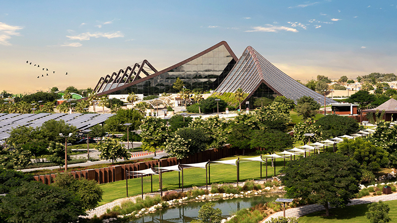 تصویری از پارک سافاری دبی با حیوانات آزاد، تورهای سافاری و فضای سبز طبیعی