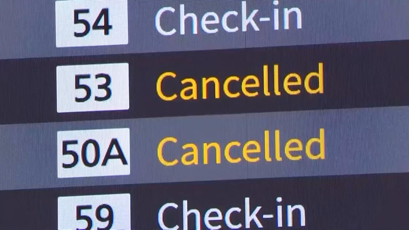 لغو پروازهای ANA ژاپن به دلیل نقص نرم‌افزاری ایرباس و تأثیر بر مسافران