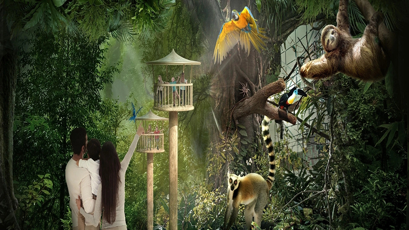 جنگل سرپوشیده گرین پلنت دبی با گونه‌های استوایی