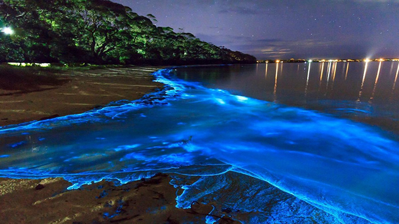 تصویر جاذبه‌های تاریخی و فرهنگی ایران برای گردشگران جهانی تمدن قشم