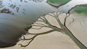 +نجم امارات