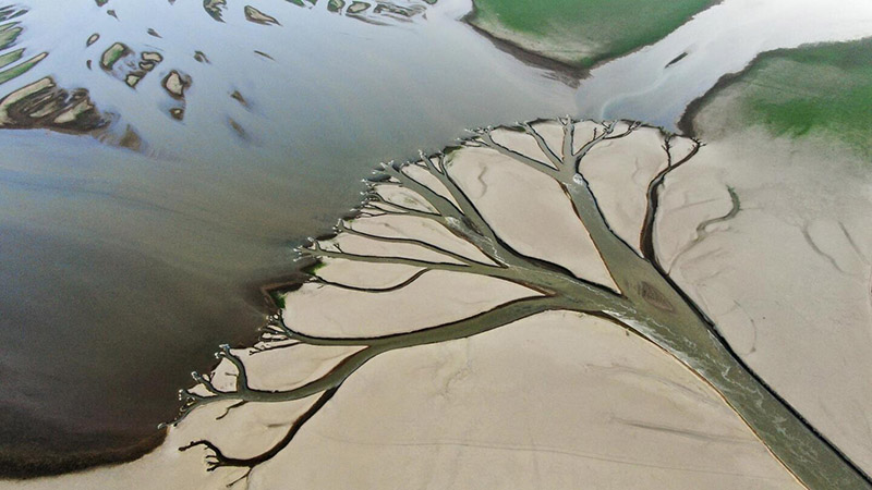 +نجم امارات