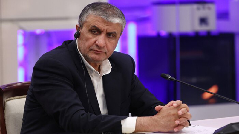 محمد اسلامی معاون رئیس جمهور و رئیس سازمان انرژی اتمی ایران در واکنش به آژانس+نجم امارات