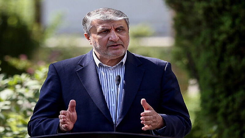 بازرسی هسته‌ای ایران، محمد اسلامی، فشار سیاسی بی‌اثر، انرژی اتمی ایران+نجم امارات