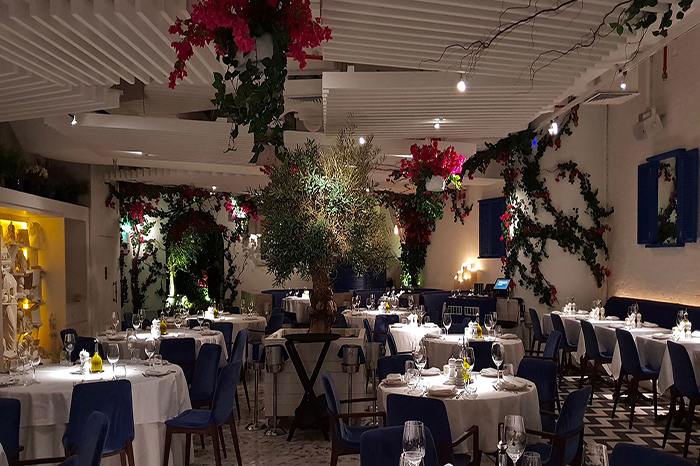 +نجم امارات