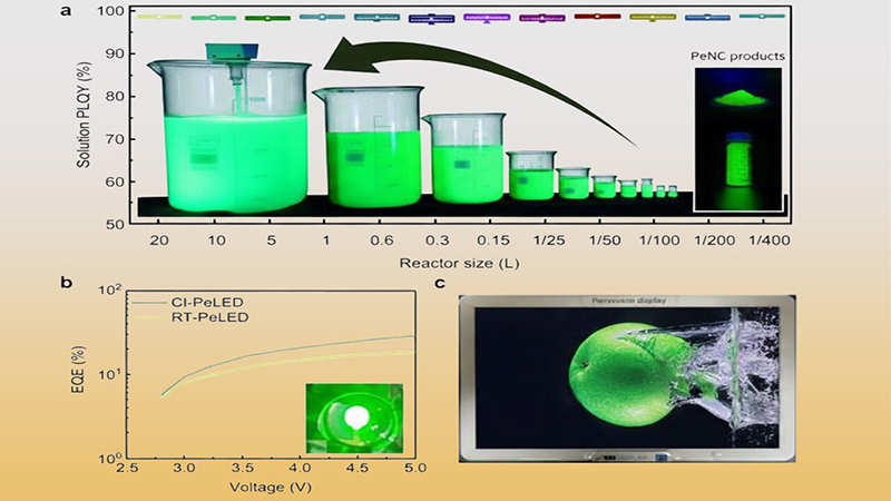فناوری نمایشگر پروسکایت با کیفیت رنگ واقعی در دانشگاه سئول+نجم امارات